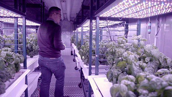 人工智能引领现代农业的未来